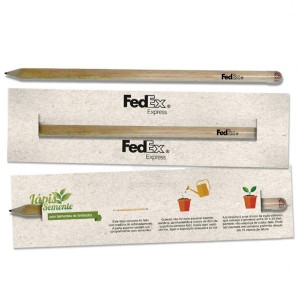 Lápis Semente Personalizado